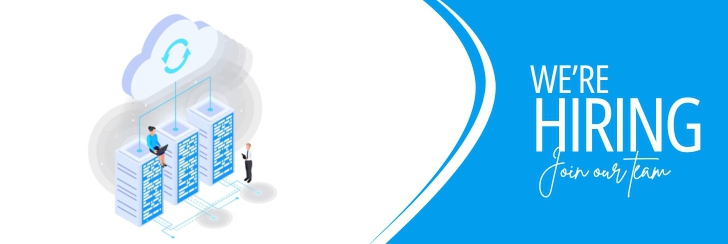 Sales Executive