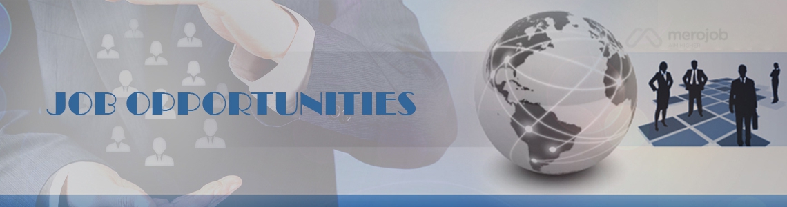 Finance Officer (ERP)