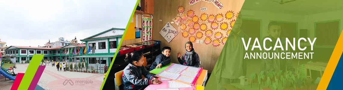 Primary Level Grade Teachers