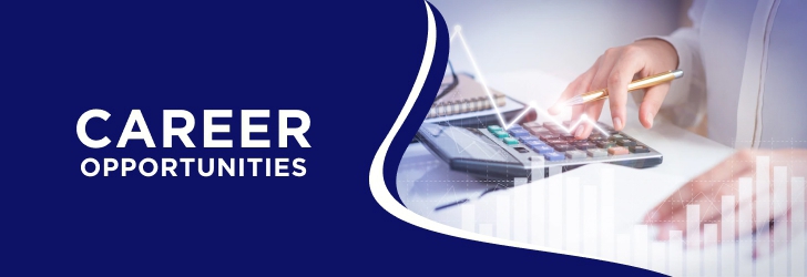 Semi - Senior Accountant