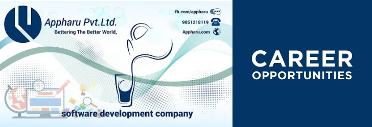 Technical Writer