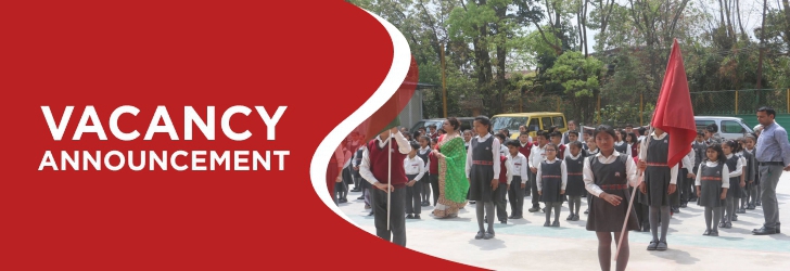 School Coordinator
