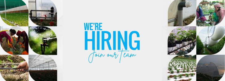 Sales and Marketing Officer