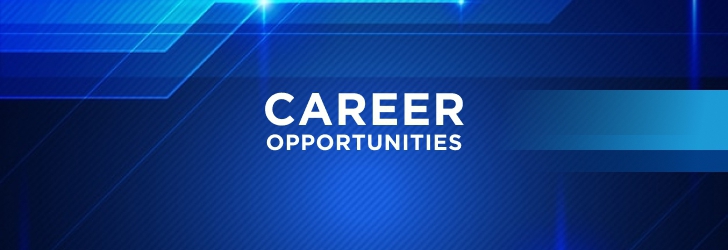 Marketing Executive