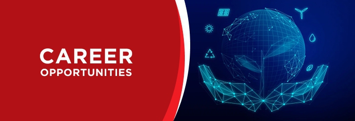 React Developer