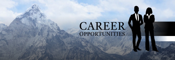 Senior Equity Analyst