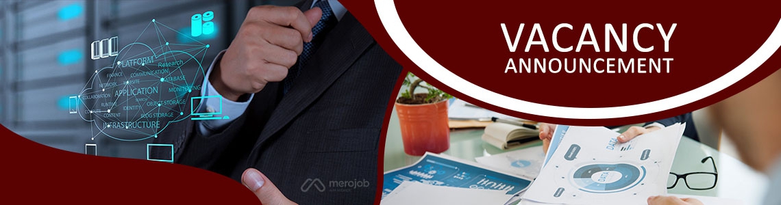 Senior Software Developer
