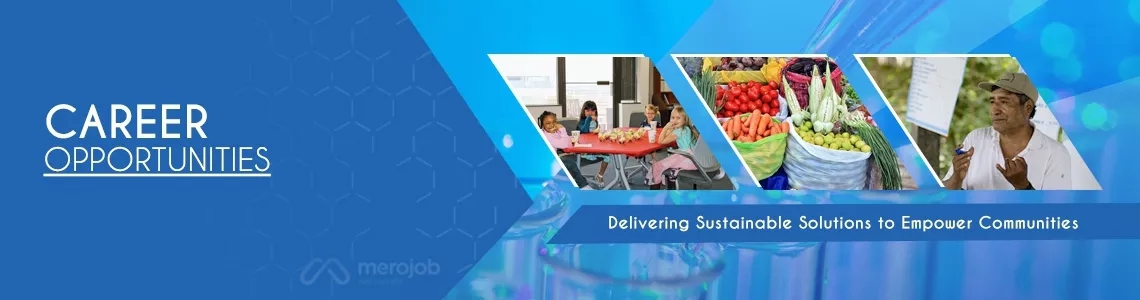 Procurement and Supply Chain Expert Consultant