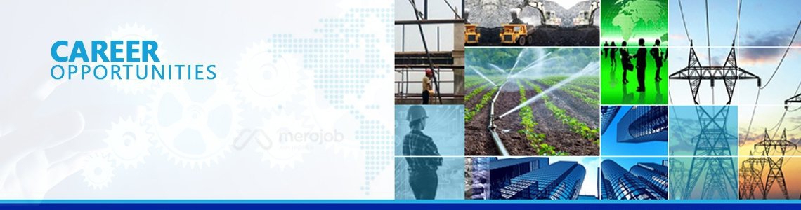 Admin / Procurement Manager