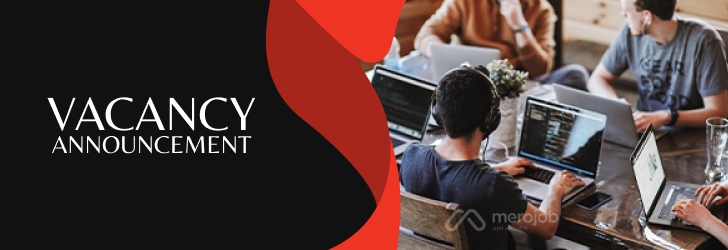 Mid - Senior .Net Developer