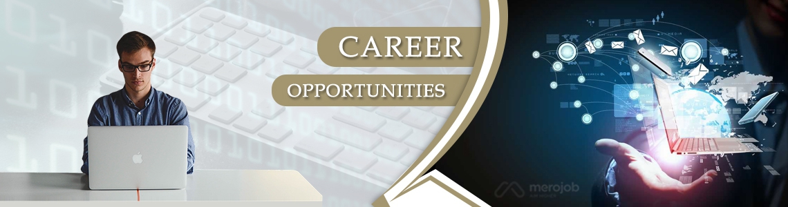 Senior Web Developer