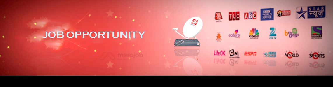 Senior Content Manager