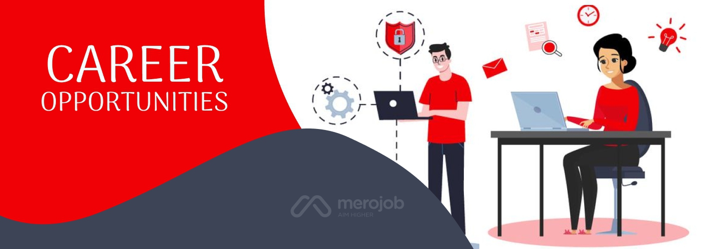 Sales Executive