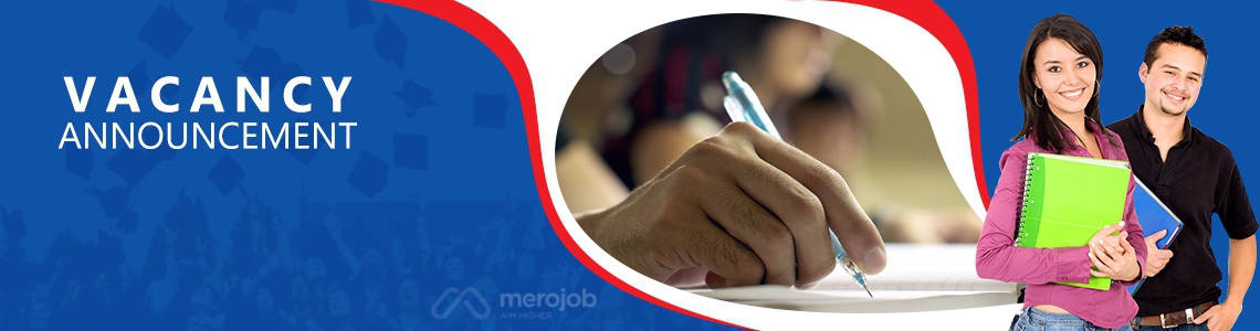 Senior Counselor / Counselor