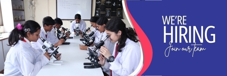 Primary Level English Teacher