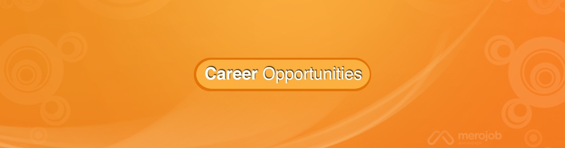 Information and Data Management Consultant