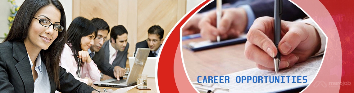 Marketing and Sales Manager