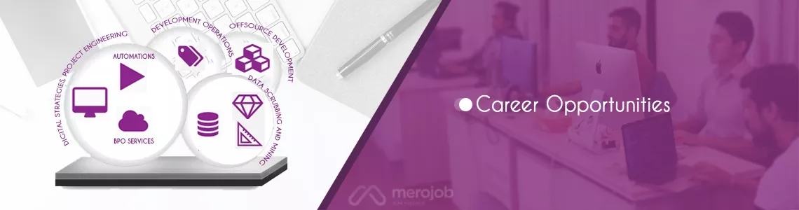 Business Analyst