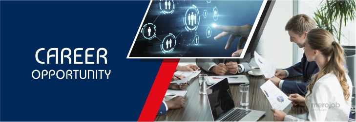 Sales and Marketing (Domestic)