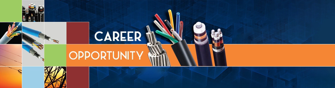 Regional Sales Manager