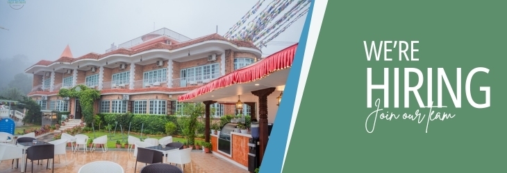 Sales and Marketing Executive
