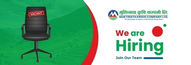 Export Manager / Expert