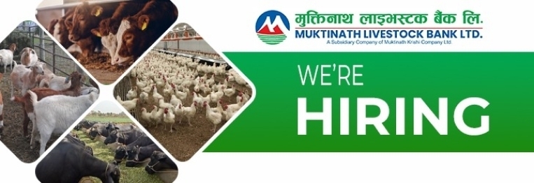 Field Marketing Executive