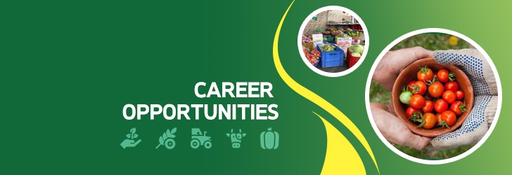 Digital Marketing Officer