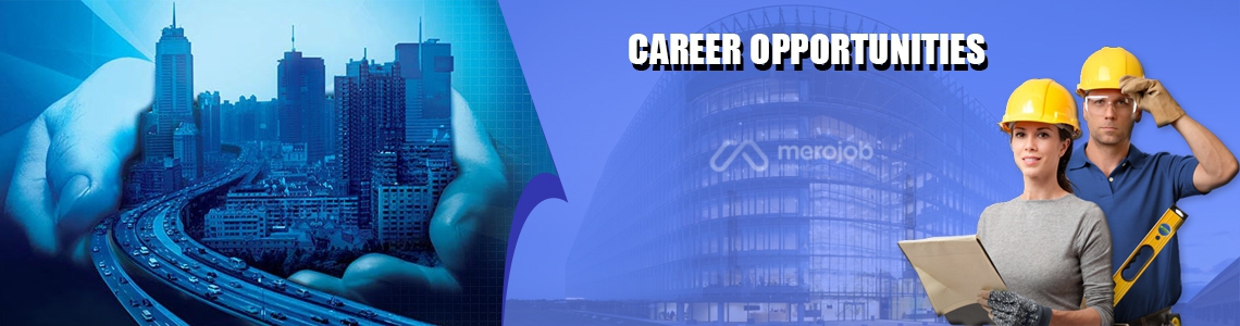 Financial Analyst