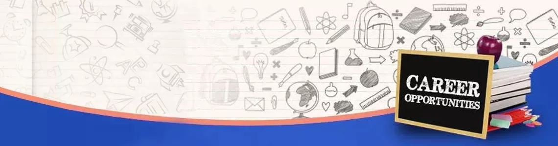 Accountancy Teacher (Grade 9 & 10)