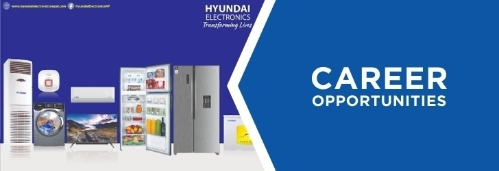 Electricals Sales Executive