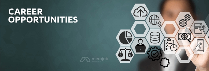 Senior Software Engineer