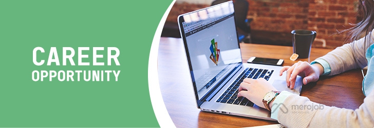 Full Stack Developer / PHP Developer