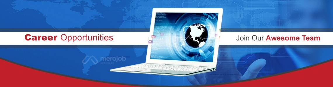 Middle Level CSS Developer