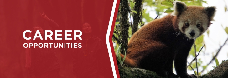 Outdoor Coordinator