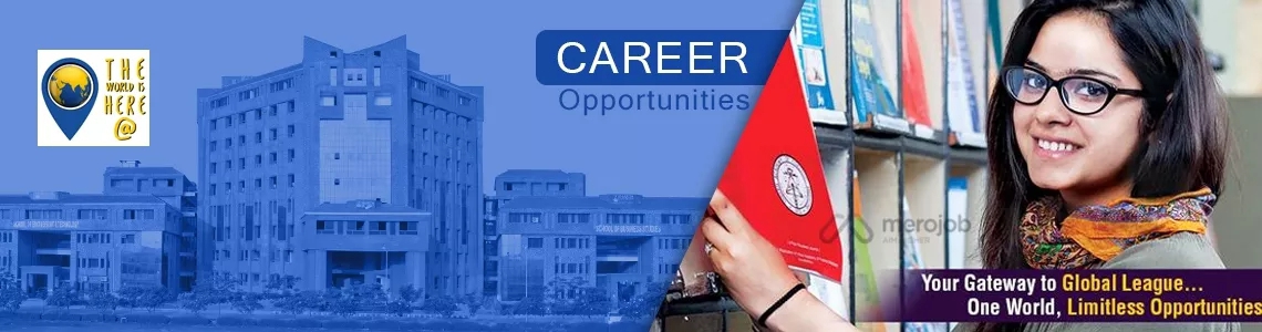 Senior Counselor