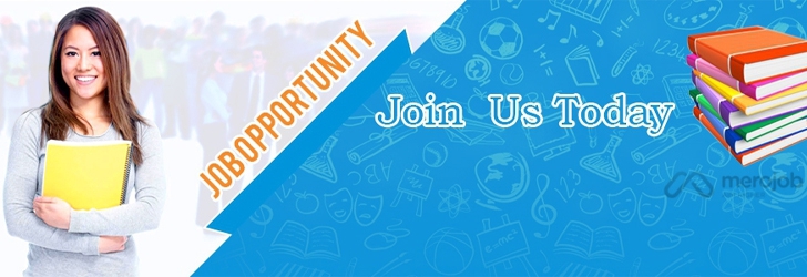 Digital Marketing /Content Writer