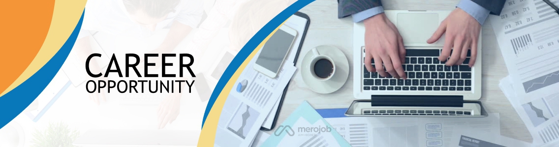 Web Application Developer