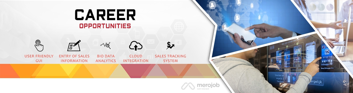 Sr. Front End Developer