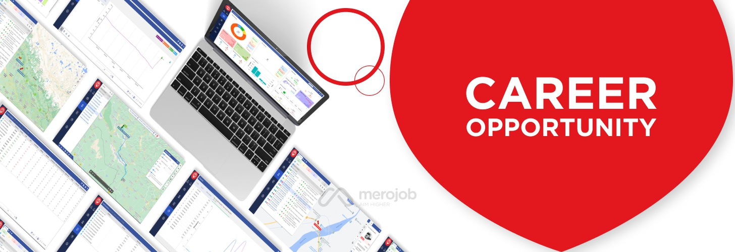 Sales Executive