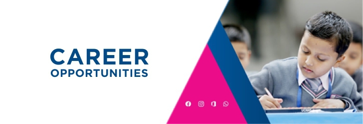 English Teacher (Primary Level)