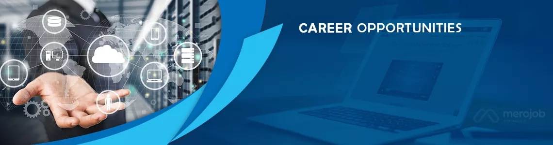 Full Stack Developer