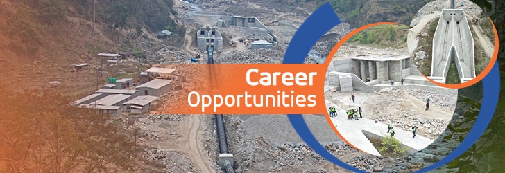 Geologist