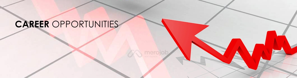 Marketing Consultant