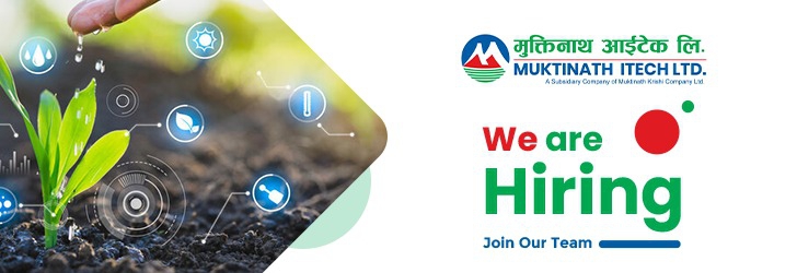 IT Assistant/ Officer