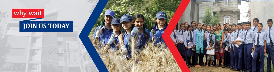 Science Teacher (Primary Level)