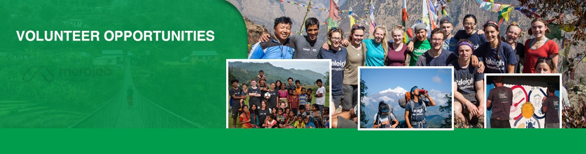 Volunteer Manager and Volunteers