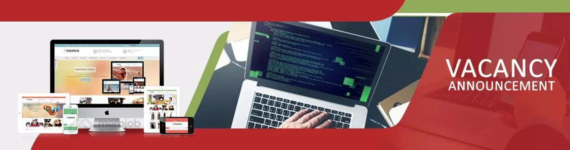 Android Developer