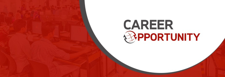 Assistant Project Manager