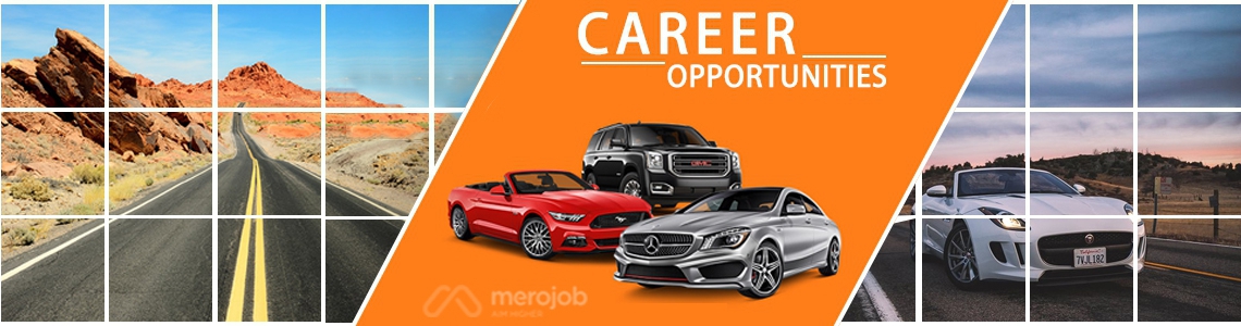 Marketing Manager/ Executive